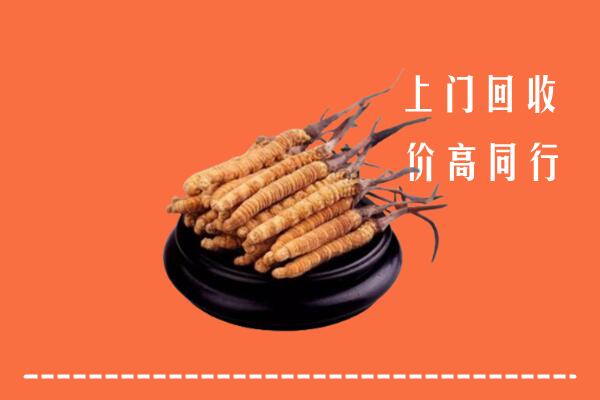 高价求购：饶阳回收散虫草